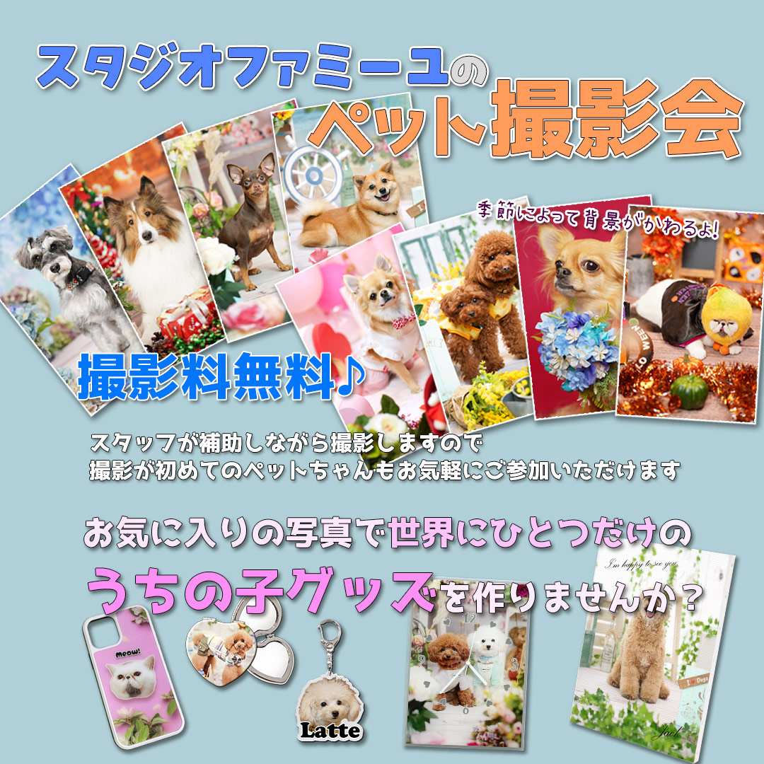 スタジオファミーユによるプロカメラマンによるペットの撮影会