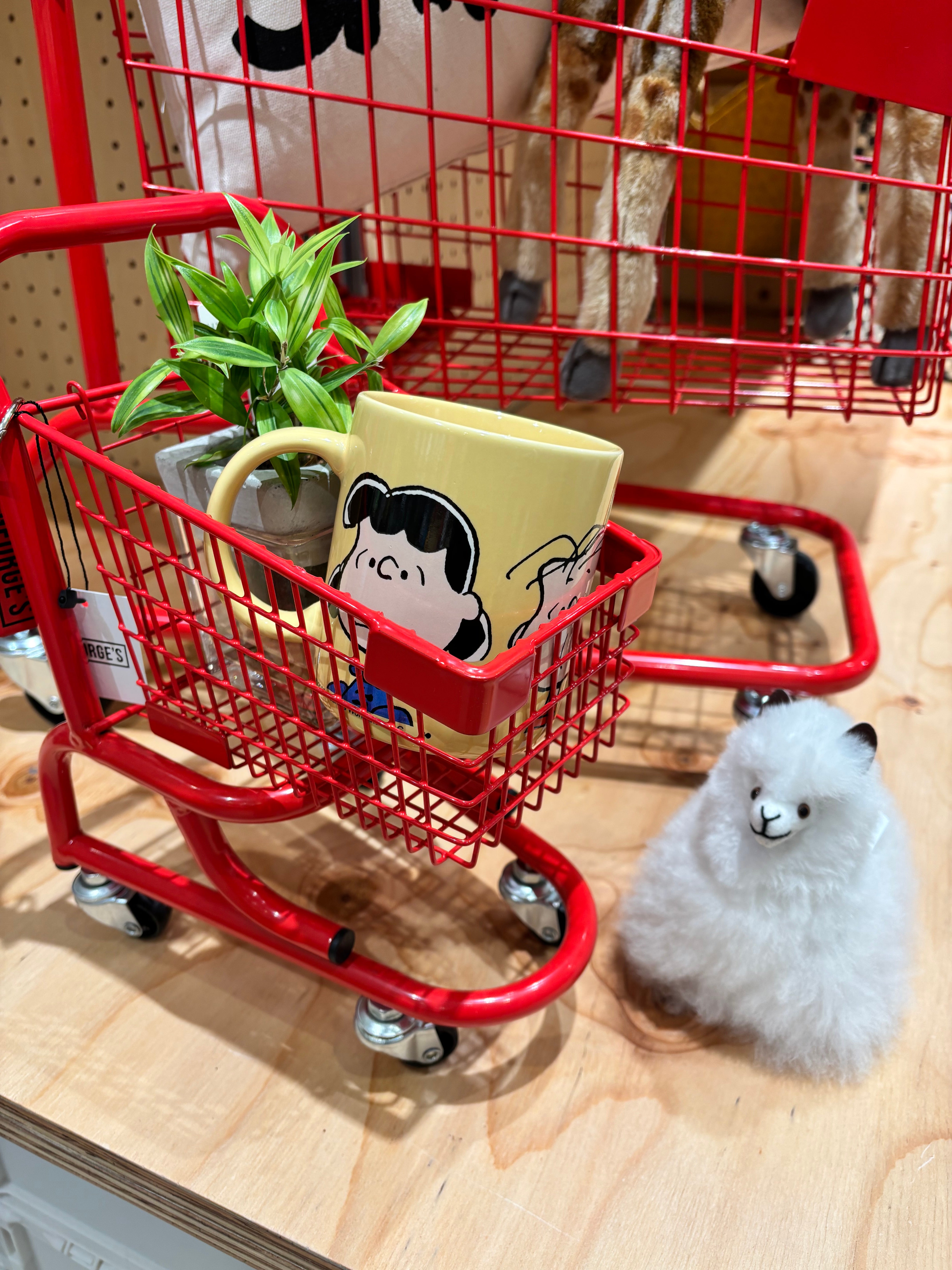 ニュース｜ショップニュース｜人気アイテムに新色追加♪｜イオンモール福岡