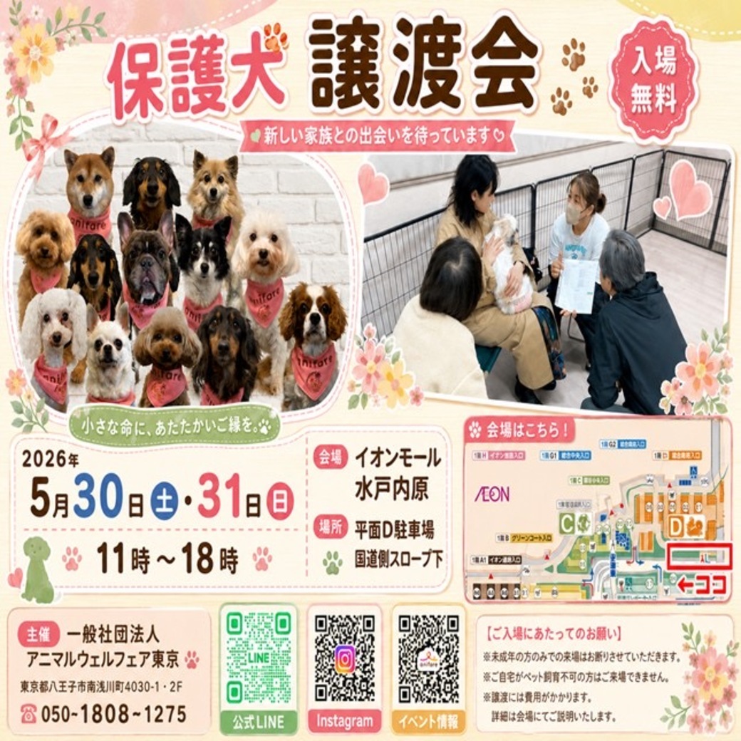 保護犬譲渡会