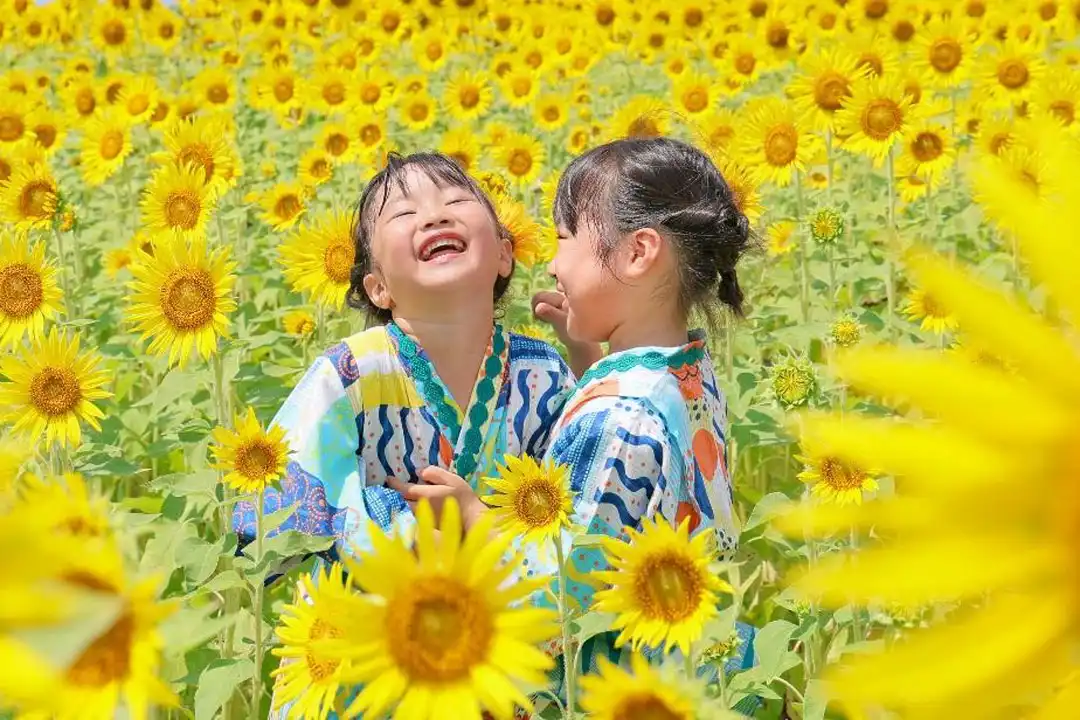 第24回 座間ひまわり写真コンテスト 入賞・入選作品展示